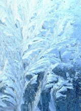Muster auf Glas / *****