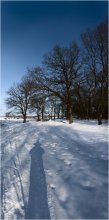 Über den Fotografen Schatten als integralen Bestandteil der Landschaft ... / ***