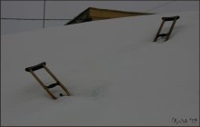 wenn Flügel wachsen ... / ***