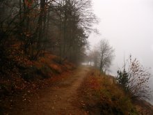 Über die Herbst-Saison und der Nebel / ***