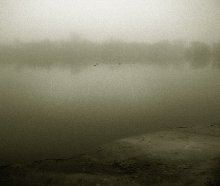 Enten im Nebel / *****