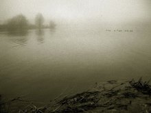 Enten im Nebel 2 / *****