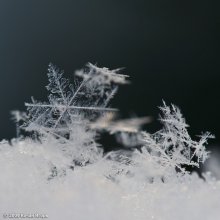 Schnee / ***