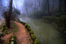 Morning in the Park / *_*_*_