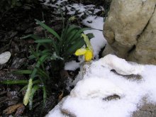 1. März - Der Winter ist zurück / ***