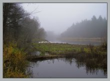 einfache peyzazhik mit Gänsen / ***