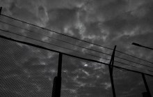 Der freie Wille / -------