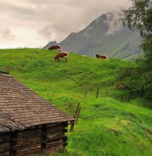 Geburtshaus von Alpenmilch / .....