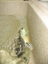 Turtle Badewanne / =)....