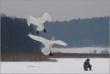 attack on the &quot;penguin&quot; / ***