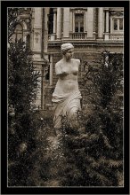 Venus Odessa ... / *******