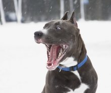 Oh, Mama !!!!! / ***