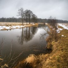 Spotting mit regen .. / ***