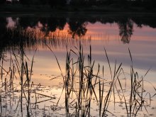 Abenddämmerung / ***