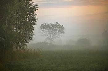 Morgendämmerung / ***