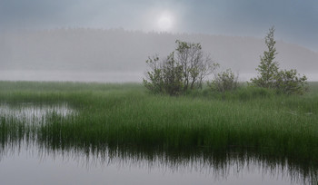 Misty Stille. / ***