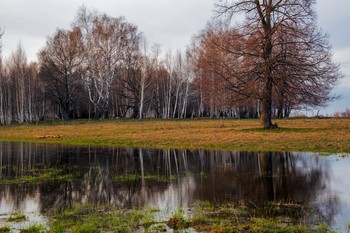 Spring flood / ***