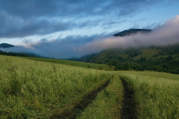 Morgen in den Bergen. / ***