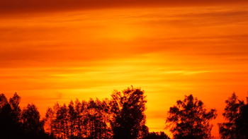 Fiery sky / ***