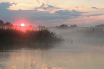Foggy Sonnenaufgang / ***