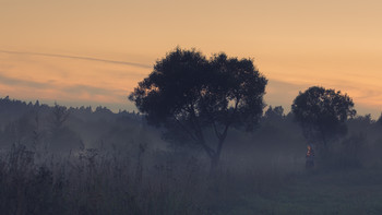 Spaziergang im Nebel / ***