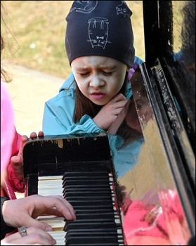 Musikliebhaber / ***