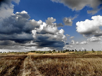 Cumulonimbus / ***