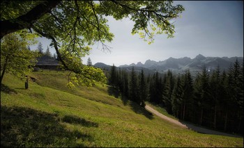 Naturpark / Gantrisch