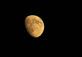 Mond / ***
