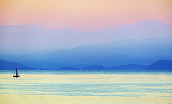 Lone White Sail / ***