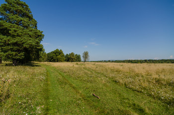 Einheimische Freiflächen / ***