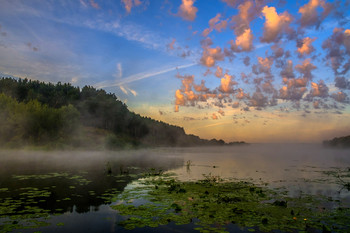 Morgendämmerung / ***