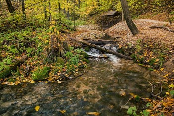 Forest River / ***