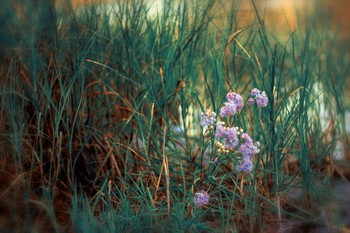 &nbsp; / https://www.youtube.com/watch?v=5EiHNhmxw0Y