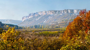 Blick in die Ferne / ***