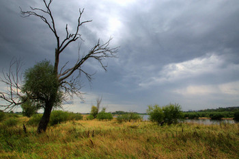 Vor dem Regen / ***