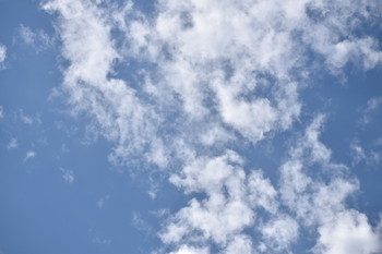 Lion In The Clouds / A lion figure hiding in the clouds.