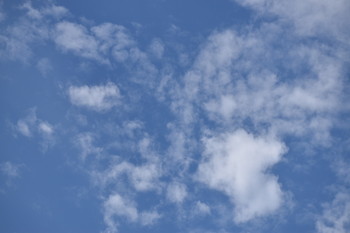 The Reptile / A reptilian cloud being manifesting in the sky.