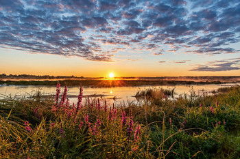 Morgendämmerung / ***