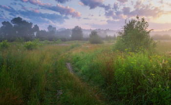 Nebel zerstreut / ***