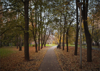 Im Herbst des Parks ... / ***