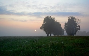 Morgen Landschaft / ***