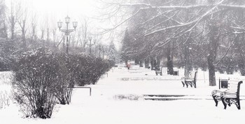 In Winter Park / ***