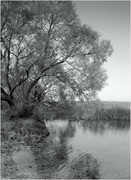 Herbst-Strand / ***