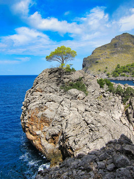 Mallorca / ***