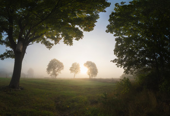 An der Schwelle zum Herbst / ***