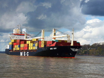 MSC AMY / ***