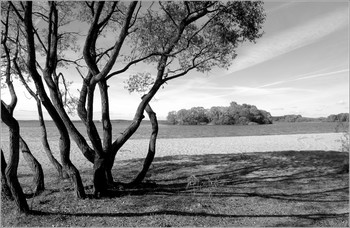 Autumn Strand / ***