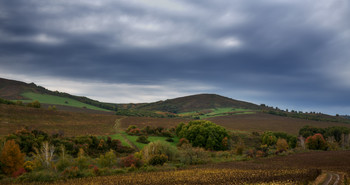 Herbst / ***