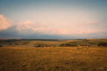 Die Mauern des Klosters / ***